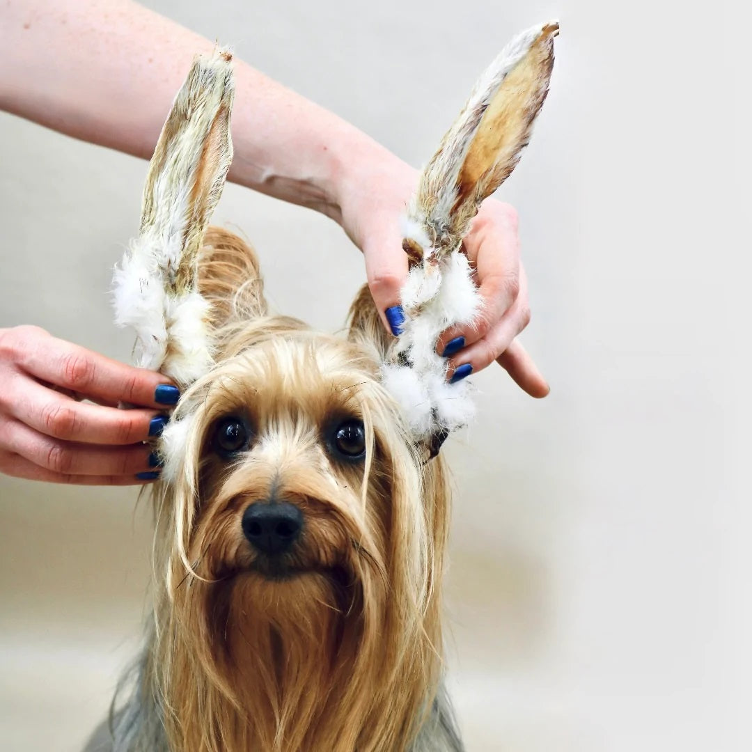 Hairy Rabbit Ears 250g
